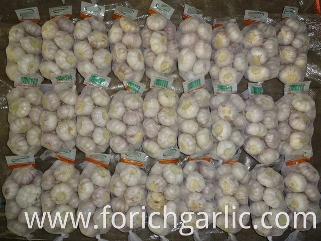 Best Quality Fresh Normal White Garlic 5 0cm